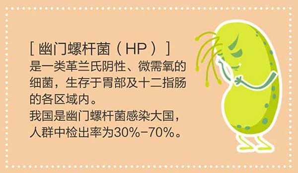 三联、四联疗法与HP食疗法，以下3种方案，哪一种更佳！