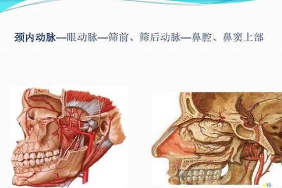 如何判断自己有鼻炎