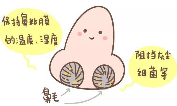 鼻窦炎七大禁忌
